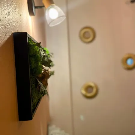 Magnifique Appartement Avignon Intra-Muros Exterior foto