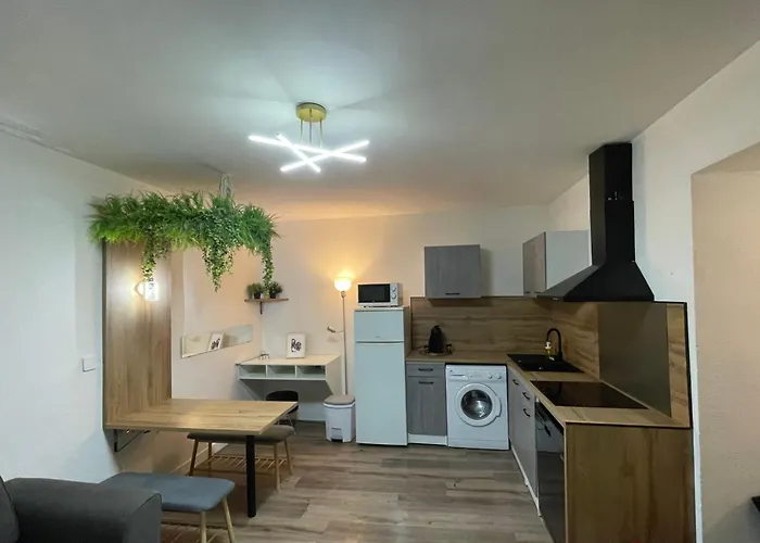 Magnifique Appartement Avignon Intra-Muros